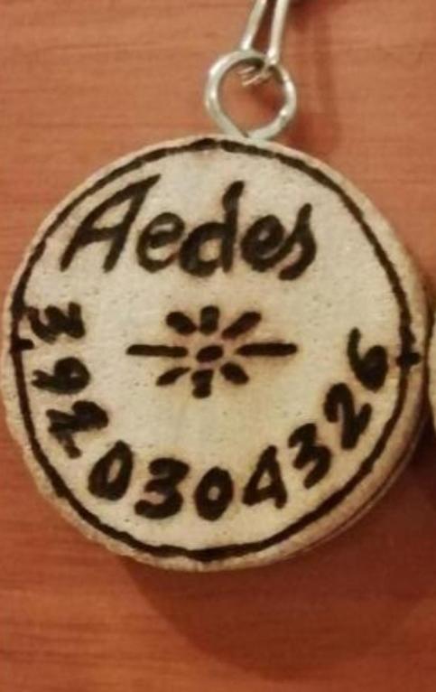 Gruppo Aedes Alghero, Residenza Michelangelo - 500 Mt Dalla Spiaggia Bagian luar foto
